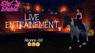 Entraînement Chevaux SSO live 🔴🤗 [upl. by Aeduj]