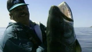 Simply Fishing MONSTER LAKE TROUT WORLD RECORD LAKER [upl. by Sennahoj]