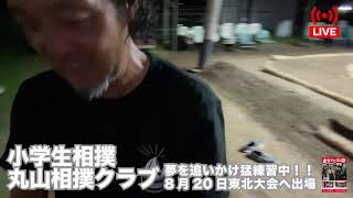 【731ライブ】 登米市米山って相撲の街！本格的な土俵がある道の駅米山・丸山相撲クラブ練習会に密着！！ [upl. by Ozzy803]