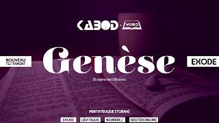 « Genèse »  LAncien Testament  La Sainte Bible audio VF Complète [upl. by Frodeen]