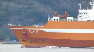 RORO Ship 敦賀湾 近海郵船 RORO船 とかち 入港 敦賀港 敦賀新港 Entering port Ferry Ship [upl. by Adnal378]