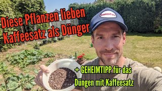 Diese Pflanzen lieben Kaffeesatz als Dünger ABER mit diesem Tipp könnt ihr alle Pflanzen mit Kaffee [upl. by Holihs592]