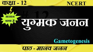 युग्मकजनन।। Yugmak Janan।। Gametogenesis।। ncert biology SudheerSirJi [upl. by Swamy939]