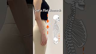 Get a Flat Stomach with Better Posture✨ [upl. by Monie]