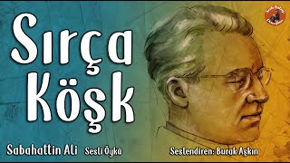 Sırça Köşk  Sabahattin Ali  Kısa Öykü [upl. by Ardnalahs]