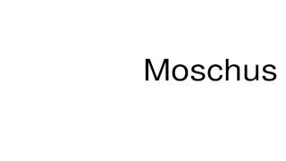 How to pronounce Moschus [upl. by Anileuqcaj]