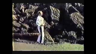 001 Don Shapland 1982 Intro and Isshinryu Upper Basics [upl. by Danas]