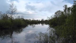 Vogelkijkhut de IJsvogel omgeving Zwolle [upl. by Anerda]