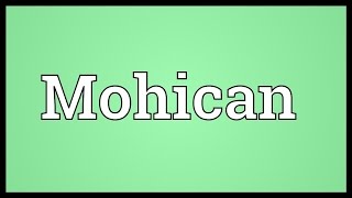 Mohican Meaning [upl. by Yllil570]