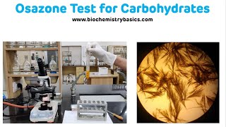 Osazone Test For Carbohydrates with Demonstration  Osazone Formation [upl. by Aicilaana]