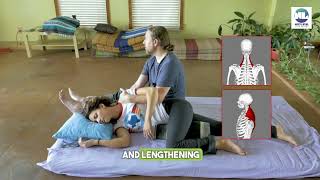 Upper Back amp Neck Work Thai Massage painrelief massagetherapy bodyrelaxation thaimassage [upl. by Maxwell]