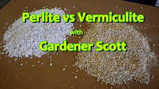 Perlite vs Vermiculite [upl. by Anelram947]