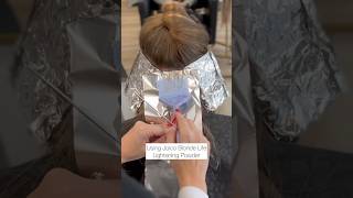 How to do a Blonde TouchUp using Joico 🤩🫶 Joico [upl. by Wrigley]