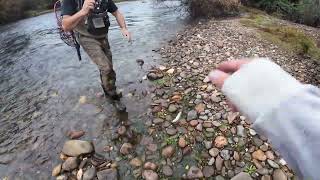 Out Fished In The Goulburn [upl. by Braasch]