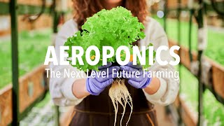 The Magic Farm of Aeroponics Where Plants Thrive in MidAir 🌱✨ [upl. by Erodasi]