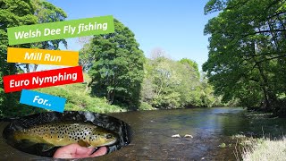 Fly fishing Mill Run on the Welsh Dee for trout [upl. by Ludmilla]