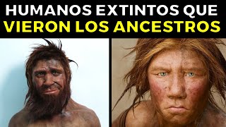 Las Otras Especies de Humanos Ya Extintos Revelados en la Arqueología [upl. by Lleda570]