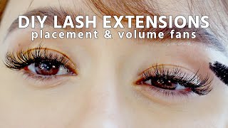 DIY EYELASH EXTENSIONS  safe at home  placement volume fans and qampa [upl. by Seften345]