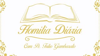 Homilia Diária  Terçafeira São Domingos [upl. by Iris183]