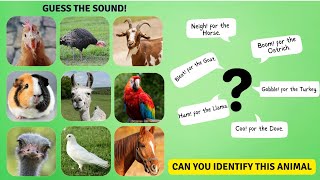 Guess the Farm Animal Sounds Challenge [upl. by Adianes746]