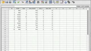 Tutorial Introduction to SPSS [upl. by Reddin]