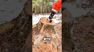 Impressive Machines That Remove Tree Stumps in Seconds 🌳💥 shorts [upl. by Winifred]