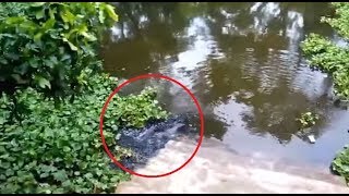 আল্লাহর নির্দশন দেখুন ভিডিওটিতে  Earthquake in Water [upl. by Meeks]