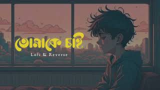 Tomake Chai 😊💝 Slowed amp Reverb Lofi Bongrahul 😊  Indian ALL Lofi Music Song [upl. by Aicile]