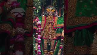 Shri Ranchhodraiji live Darshan Dakor Temple [upl. by Yhotmit]