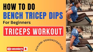 Bench triceps Dips  How to do Triceps Dips for beginners  Triceps Workout  tricep Dips Form gym [upl. by Attehcram113]