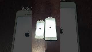 iPhone 5s on iOS 12 vs iPhone 6 Plus on iOS 9 boot up test shorts iphone5s iphone6plus ios [upl. by Milicent268]