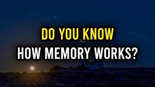 How Your Memory Works [upl. by Adkins]