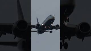 Ryanair Boeing 737 8AS Landing on EPRZ RzeszówJasionka Airport [upl. by Eldreeda238]