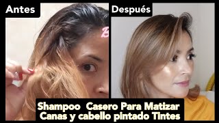 SHAMPOO MATIZADOR CASERO para canas y Tintesrecupera tu color de tinte cabellodañado cabelloseco [upl. by Yelrebma]