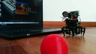 Xpider Raspberry Pi Zero with OpenCV Ball Follower [upl. by Sjoberg]