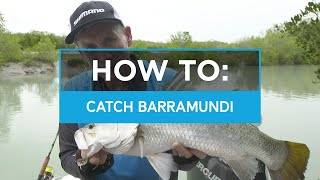 HOW TO Catch Barramundi in creeks and drains [upl. by Vinita]