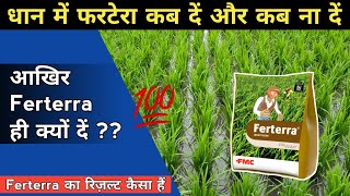 धान और गन्ने की फसल में आख़िर फरटेरा का ही क्यों प्रयोग करना चाइए  Fmc Ferterra Insecticide  Paddy [upl. by Baxter]