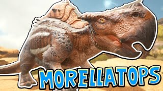 Ark Scorched Earth  TAMING A MORELLATOPS 3 Scorched Earth Gameplay [upl. by Keen]