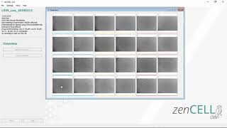 How to use the zenCELL owl  livecellimaging [upl. by Archangel]