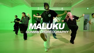 Wiils  MALUKU  Gunmin Choreography [upl. by Nileuqaj257]