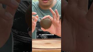 MENCOBA BUAT DORODANGO 😤 [upl. by Estella455]