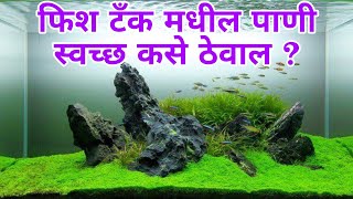 bloostaraquarium fish tank फिश टँक मधील पाणी स्वच्छ कसे ठेवालfish tank ka pani saaf kaise rakhe [upl. by Yboc]