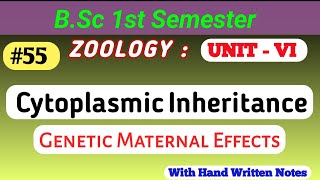 Cytoplasmic Inheritance  Genetic Maternal Effects  inheritance genetics geneticmaterial [upl. by Phira449]