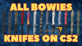 ALL BOWIE KNIFE SKINS SHOWCASE IN COUNTER STRIKE 2  CS2  PRICE UPDATE [upl. by Adniralc]