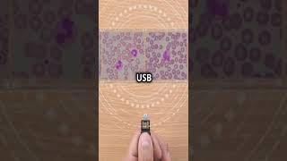 USB Flash Drive storage flashdrive [upl. by Aicad212]