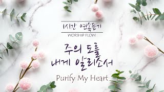 1시간 연속듣기 주의 도를 내게 알리소서 피아노 CCM  Purify My Heart Piano Instrumental영어가사lyrics [upl. by Lorilee324]