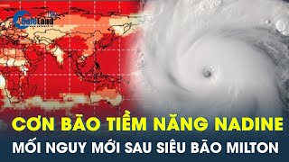 Cơn bão tiềm năng Nadine mối nguy mới cho các khu vực tổn thương hậu siêu bão Milton  CafeLand [upl. by Hillie790]