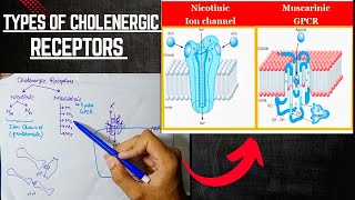 Cholenergic Receptors  Cholenergic System  ANS Pharmacology [upl. by Jehoash]