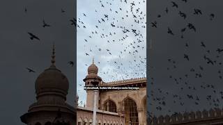 Hyderabad city of pearls😍 ytshortsindia ytshortsviral shortsviral [upl. by Ekusuy]