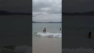 Kiya and her Pie exploring underwater creatures at Forsters beach [upl. by Hibbs]